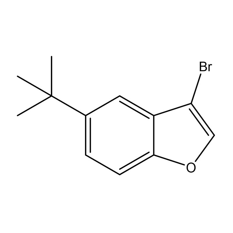 3-Bromo-5-tert-butilbenzofuran
